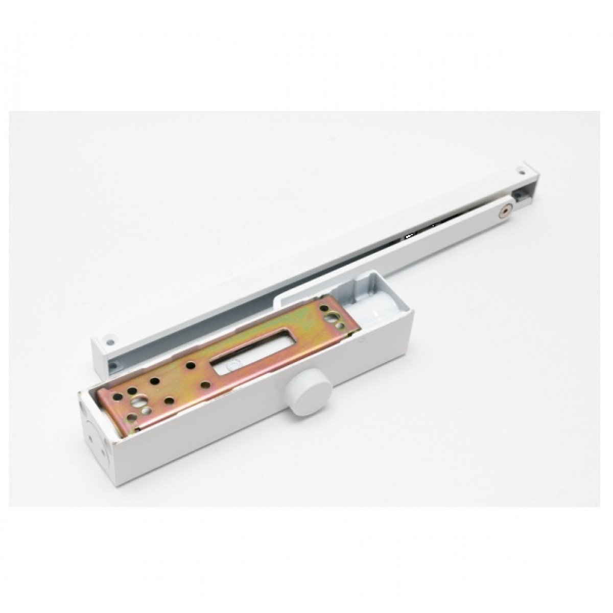 Amortizor hidraulic cu sina pentru usi 80kg Alb