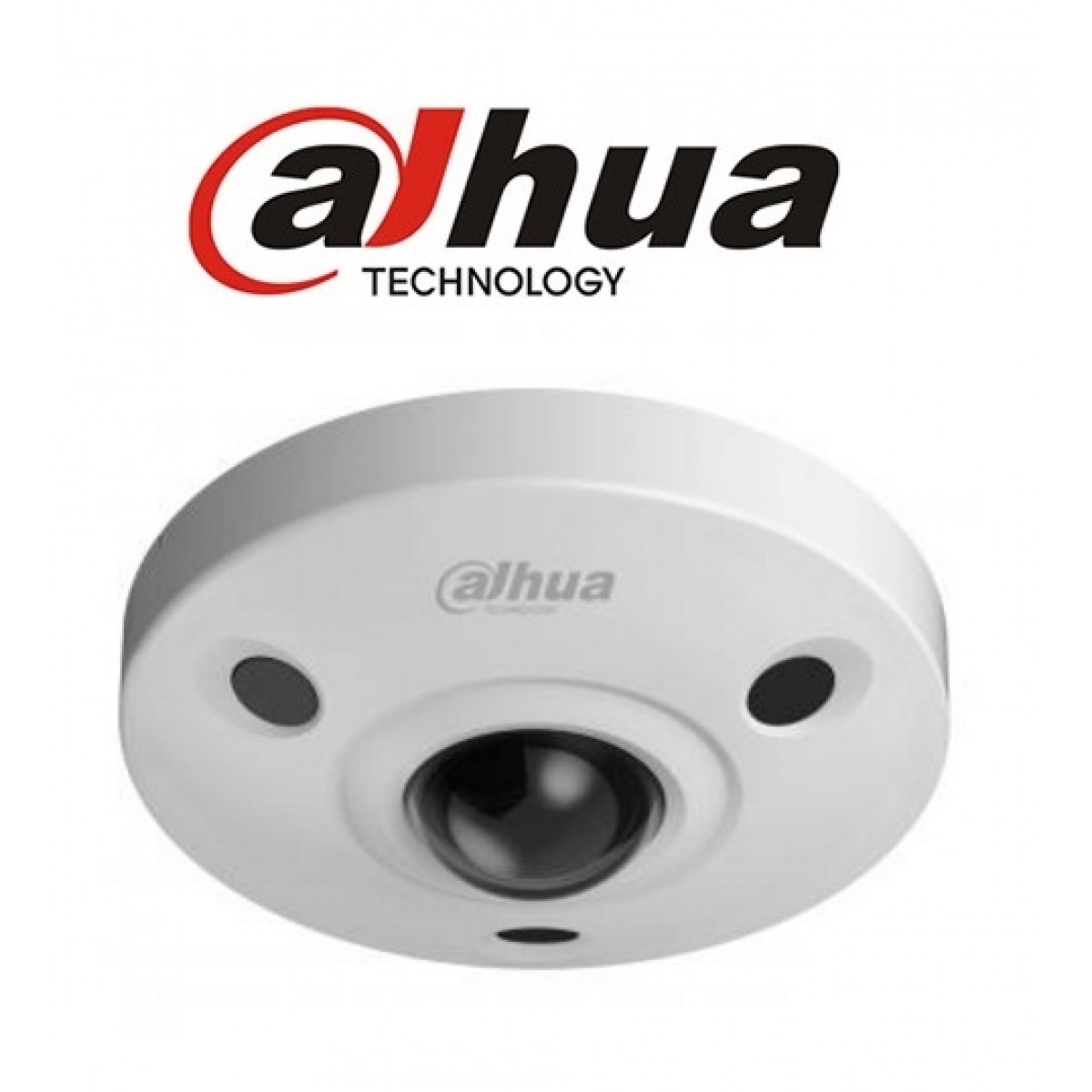 Camera Dome Exterior IP Fisheye 12MPixeli/4K Dahua