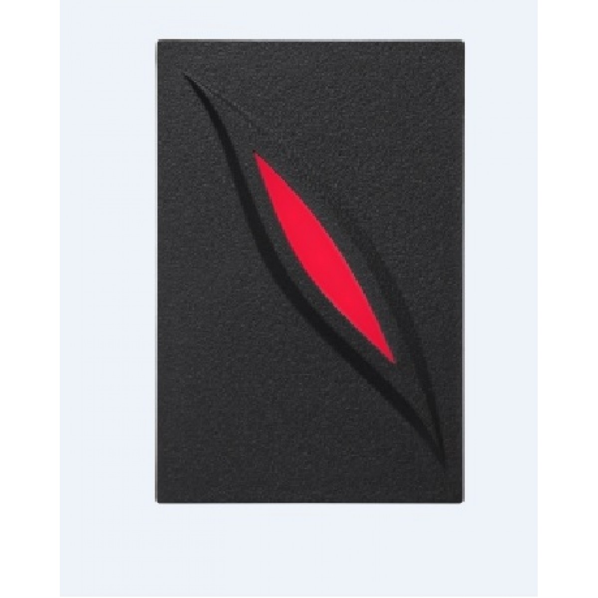 Cititor proximitate RFID (EM 125KHz) rezistent la apa y