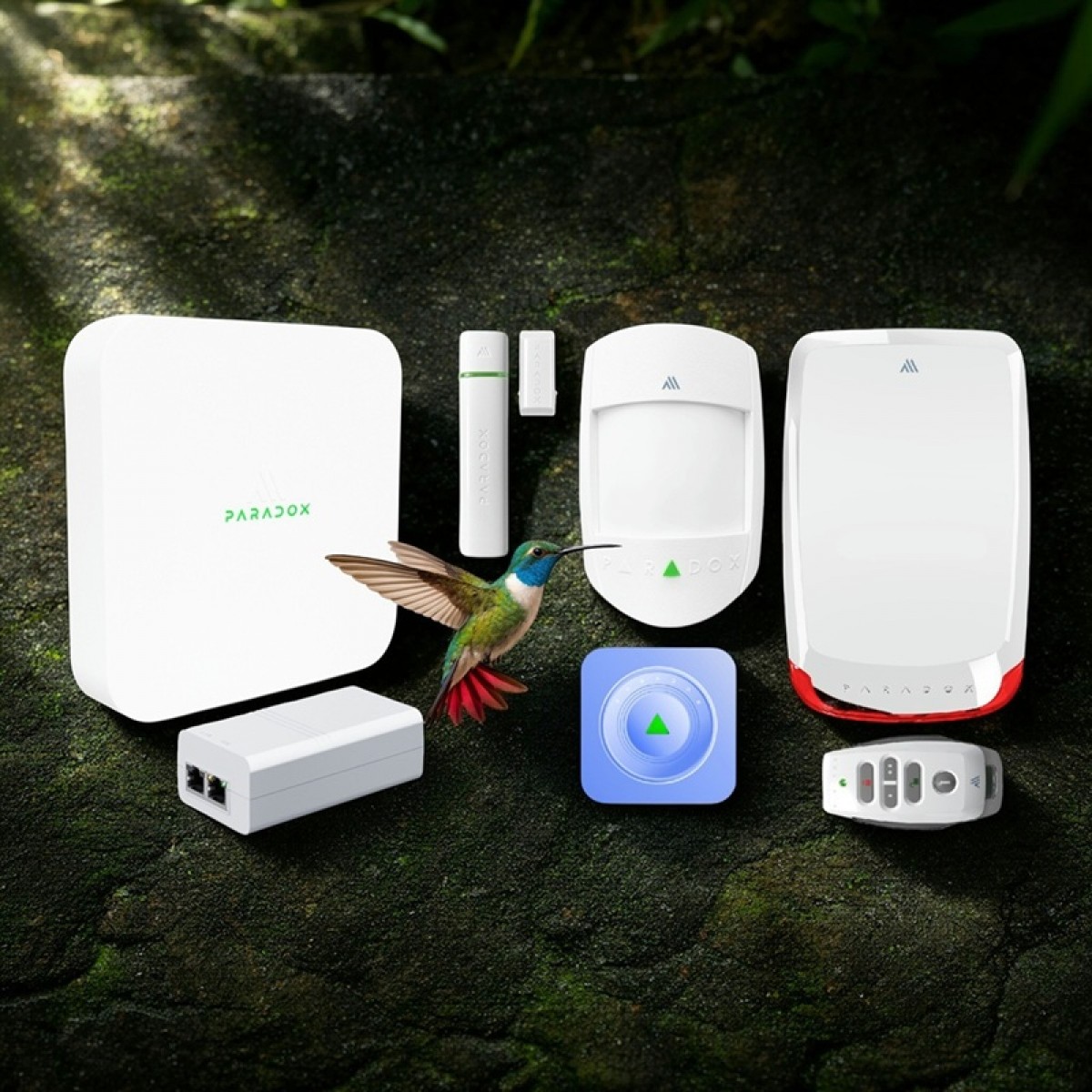 Kit M2 Exterior wireless 866Mhz Ethernet WiFi M25 + 1 an BlueEye