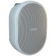 Boxa audio in 2 cai putere  30, 15, 6, 3 W/100 V utilizare interior APART