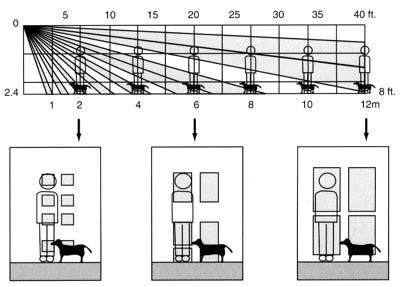 Detector de miscare cu imunitate animale